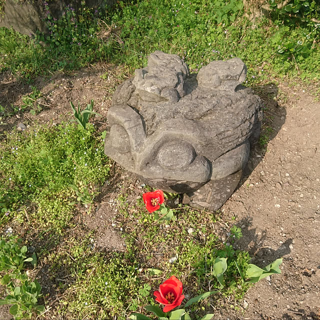 mario123さんの実例写真