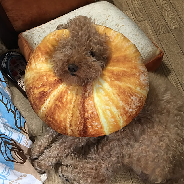 ronmaruさんの実例写真
