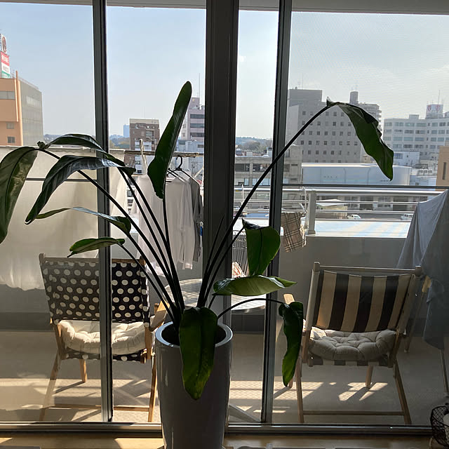 onさんの実例写真