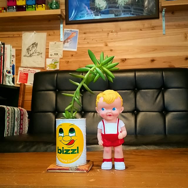 costajiniさんの実例写真
