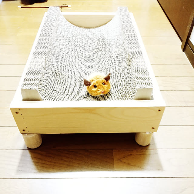 raraさんの実例写真