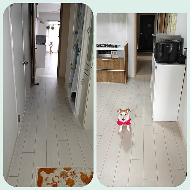 marosukeさんの実例写真