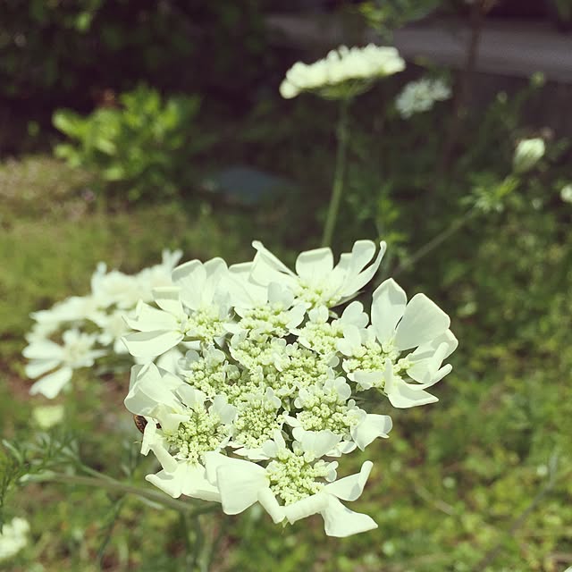 tsukiyuzuさんの実例写真