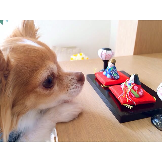 naomi426さんの実例写真