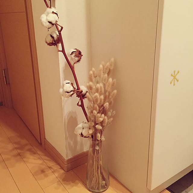 Satsukiさんの実例写真