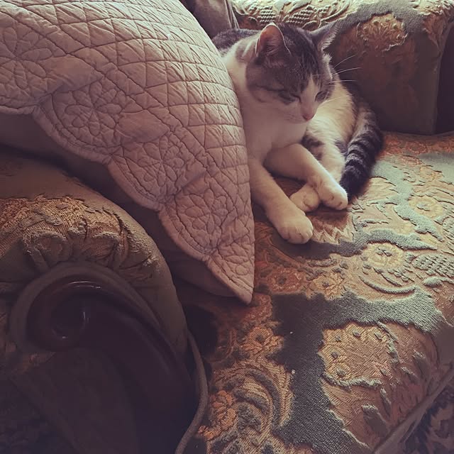 emmyyさんの実例写真