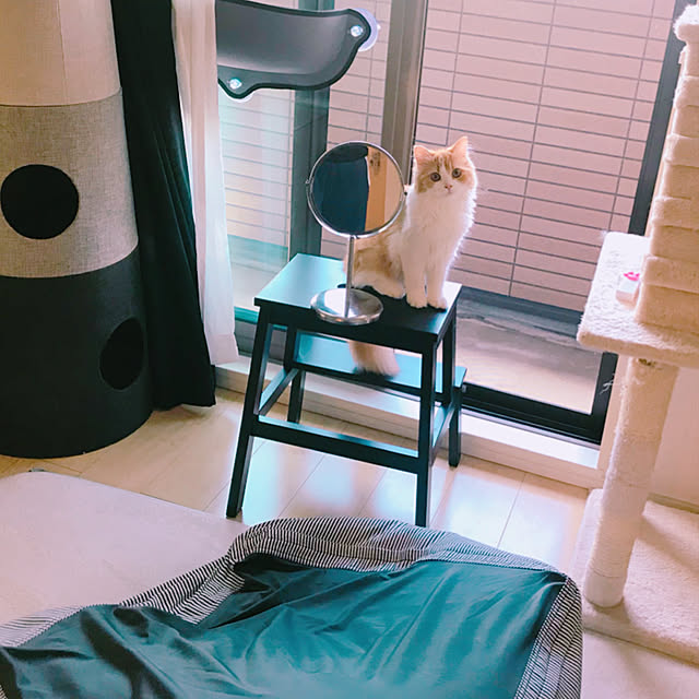 H.Tさんの実例写真