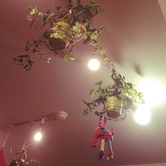 maimaiさんの実例写真