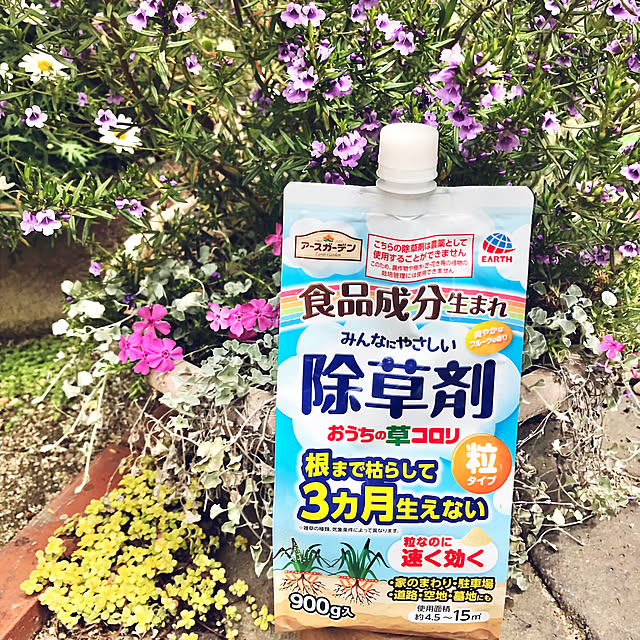 tararaさんの部屋