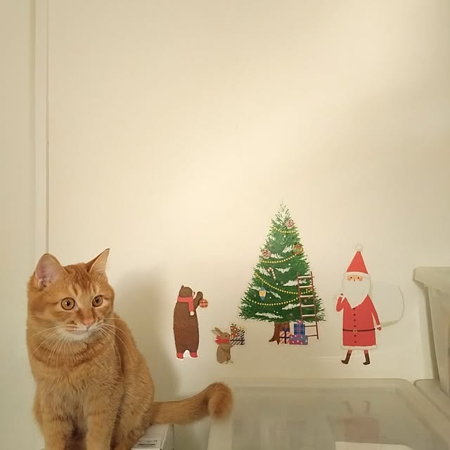 mayutan.さんの部屋