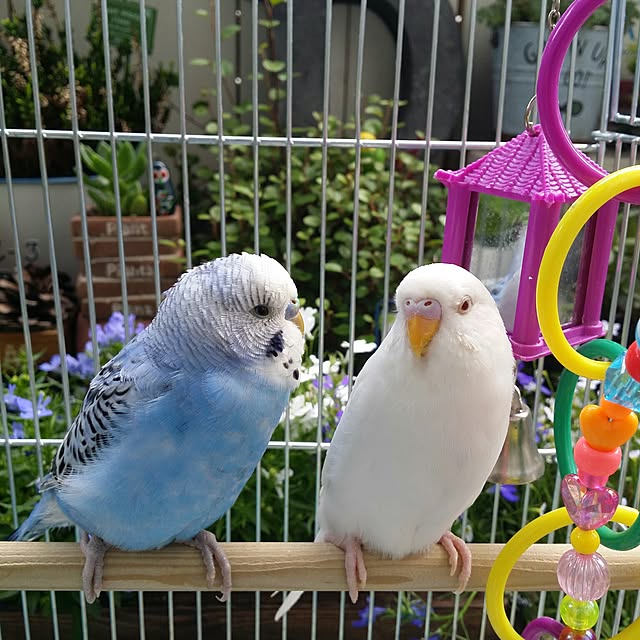 karinさんの実例写真