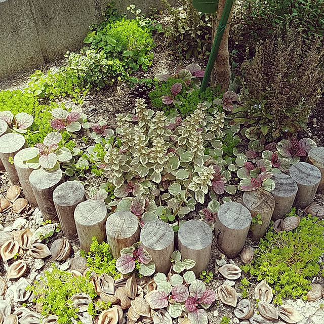 A.hさんの実例写真