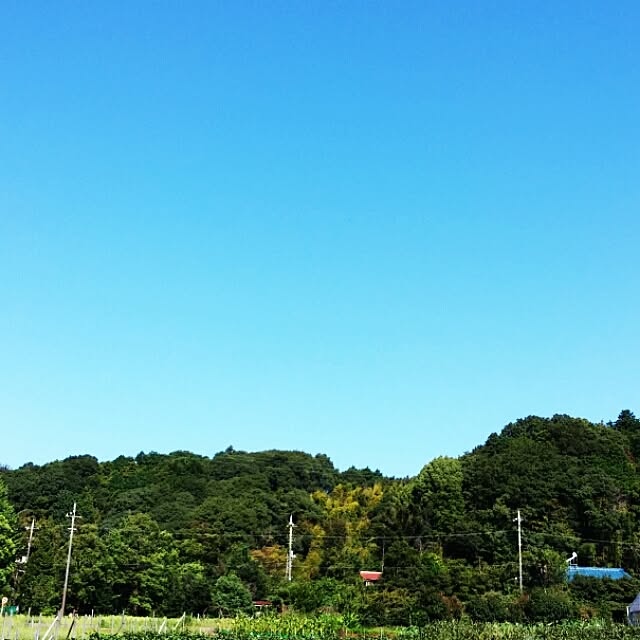 Mikaさんの実例写真
