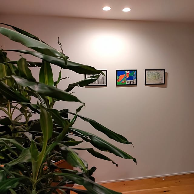 Hiroさんの実例写真