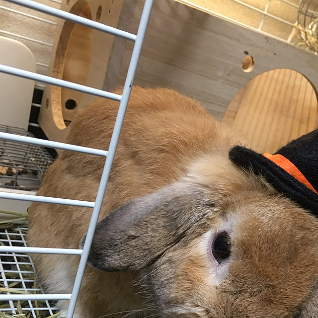 tamamm703さんの実例写真