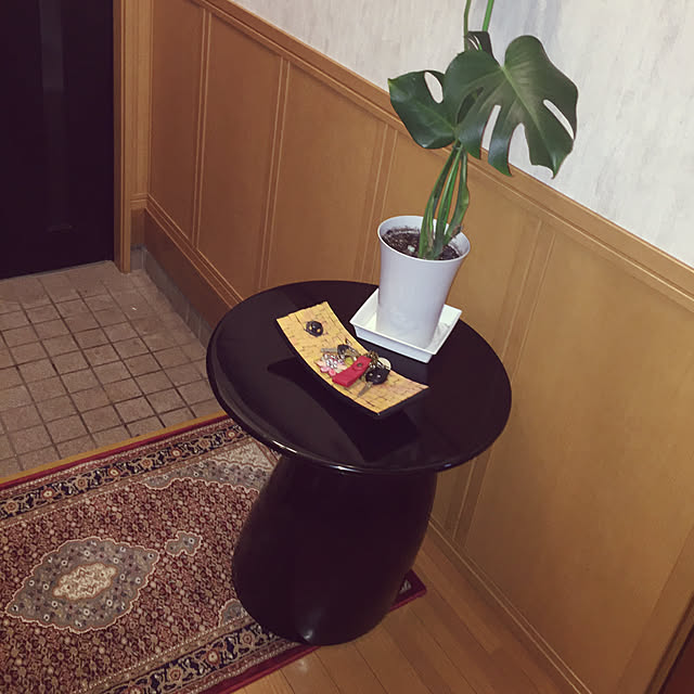 Hitomiさんの実例写真