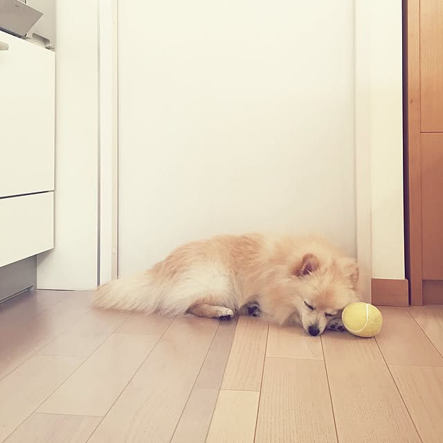 akkoさんの実例写真