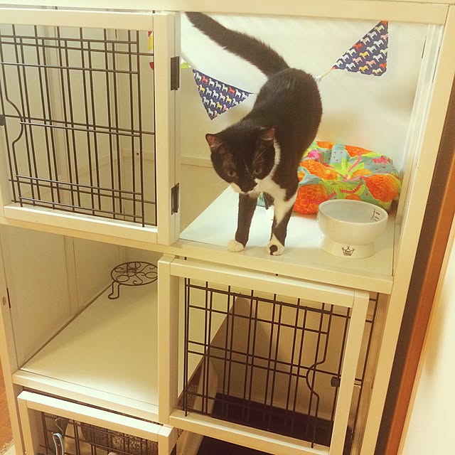 kitさんの実例写真