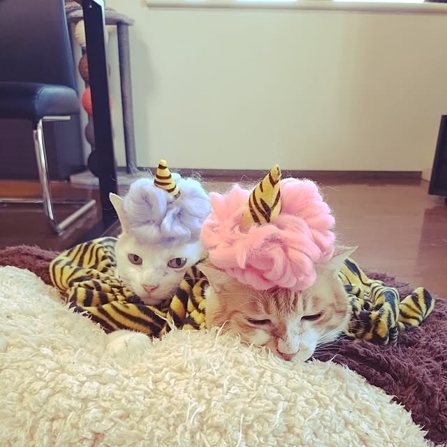 NOAHさんの部屋