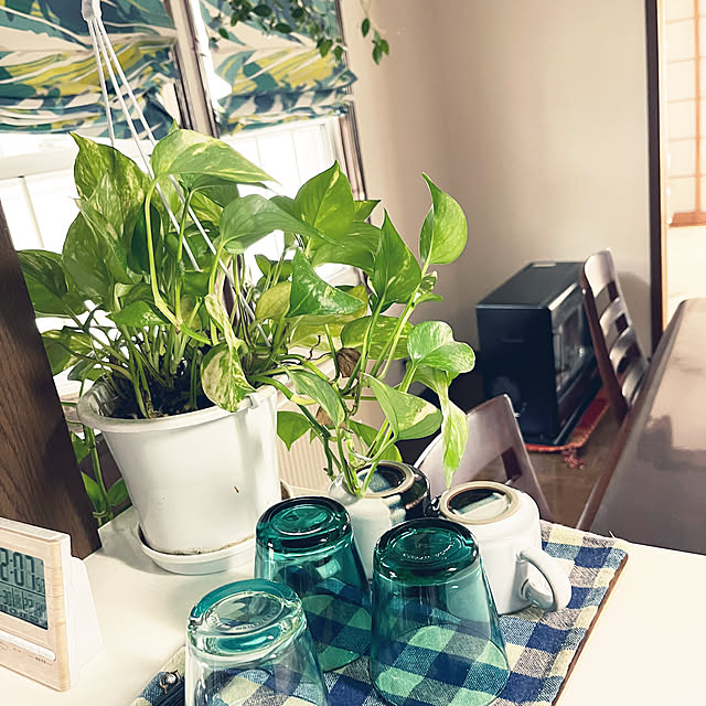 tanyuumoさんの部屋