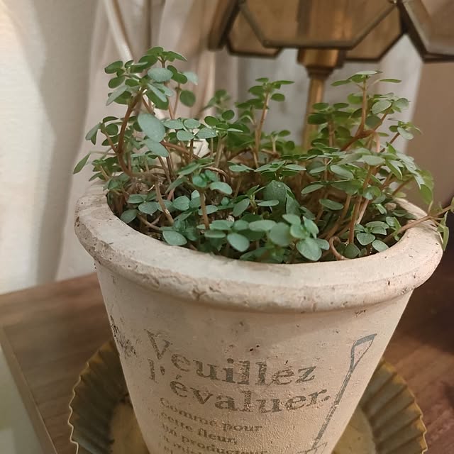 Yoko622さんの実例写真