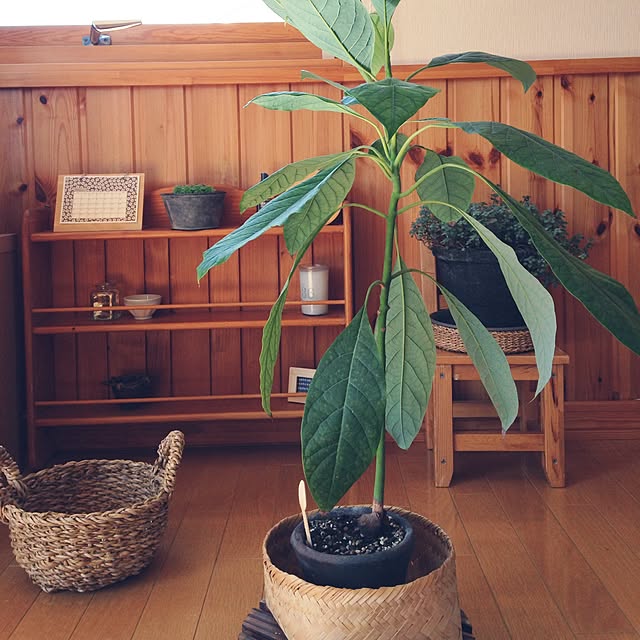 ivoryさんの実例写真