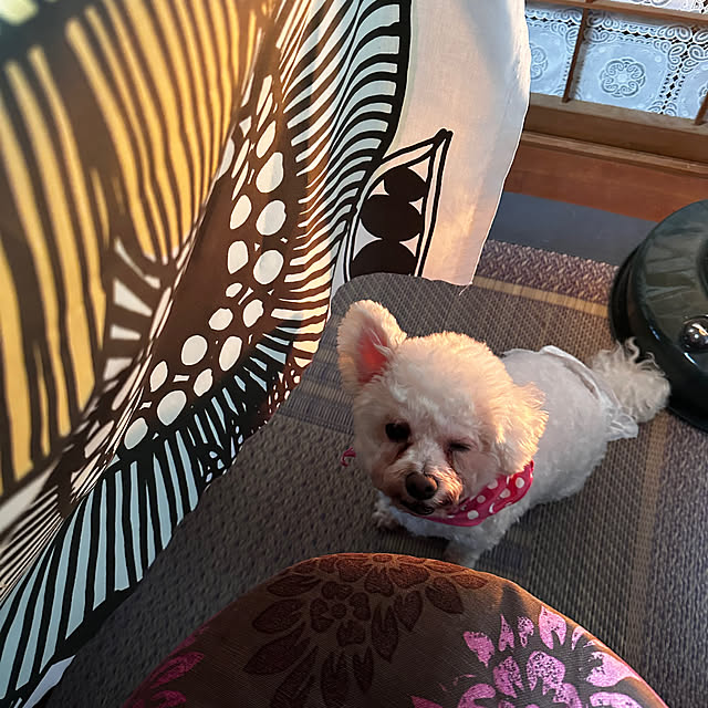 chacoさんの部屋