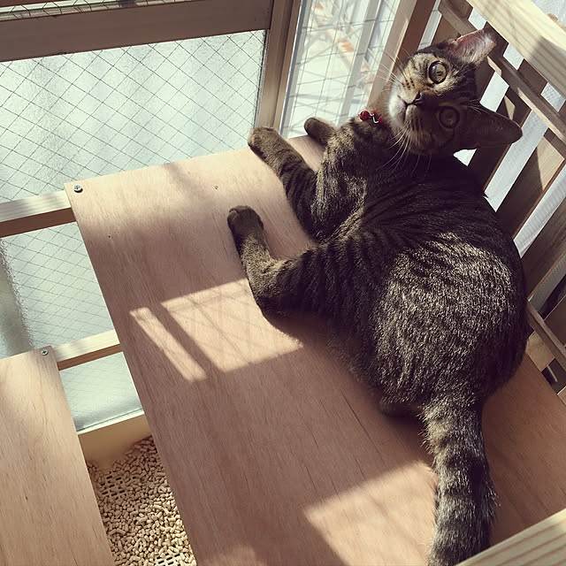 tgpknさんの実例写真