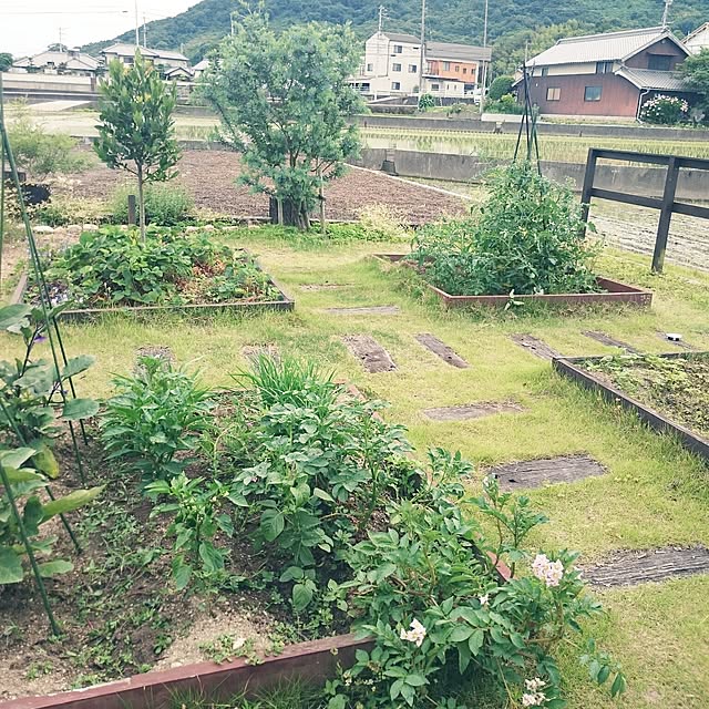 180447hiroさんの実例写真
