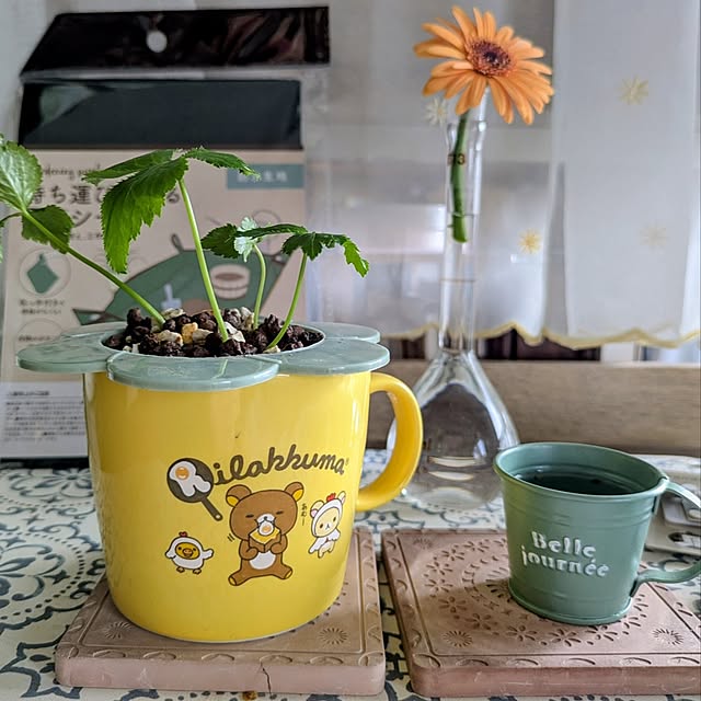 mi-saさんの部屋