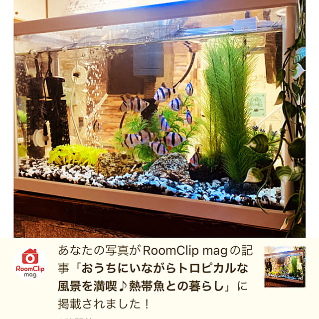 tututu0204さんの実例写真