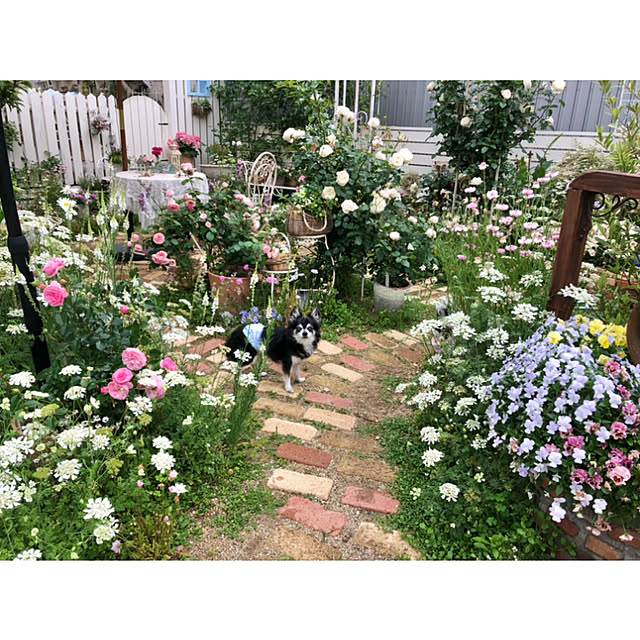 ponさんの実例写真