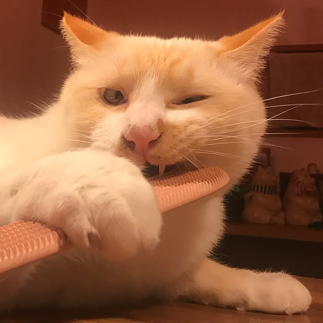 sakurasakuさんの実例写真