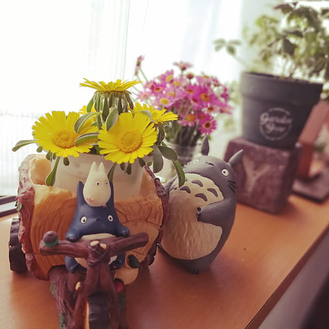 haruruさんの実例写真