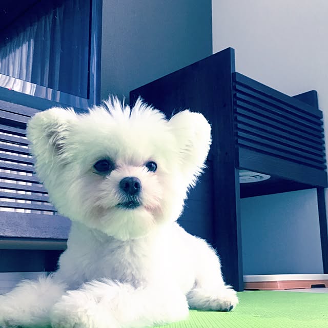 noriさんの実例写真
