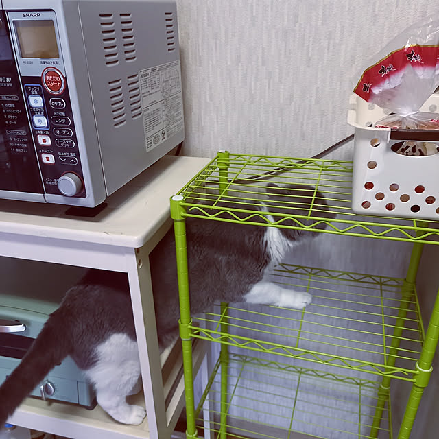 rhuさんの実例写真