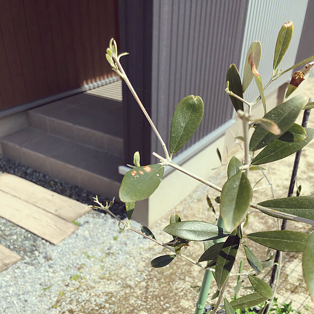 mokaさんの実例写真