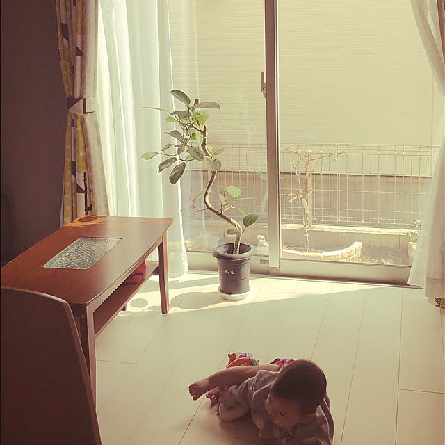 Shocoさんの実例写真