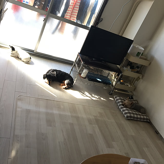ohanaさんの実例写真