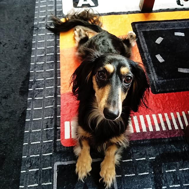 momozouさんの実例写真