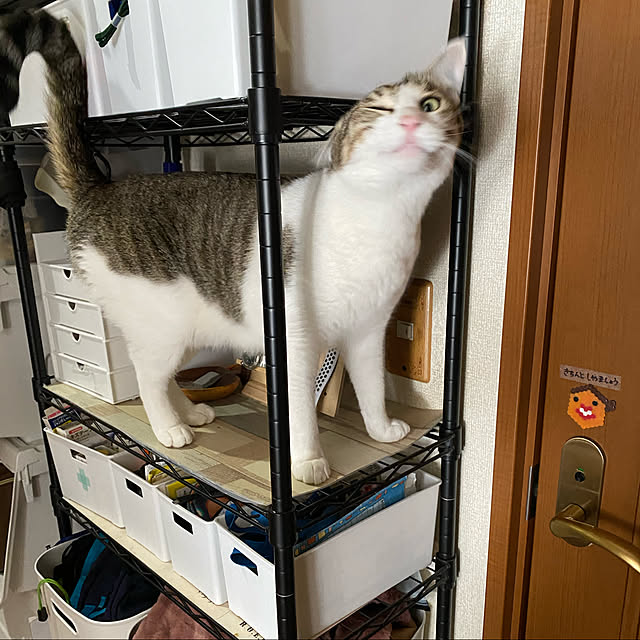 Lufuさんの実例写真