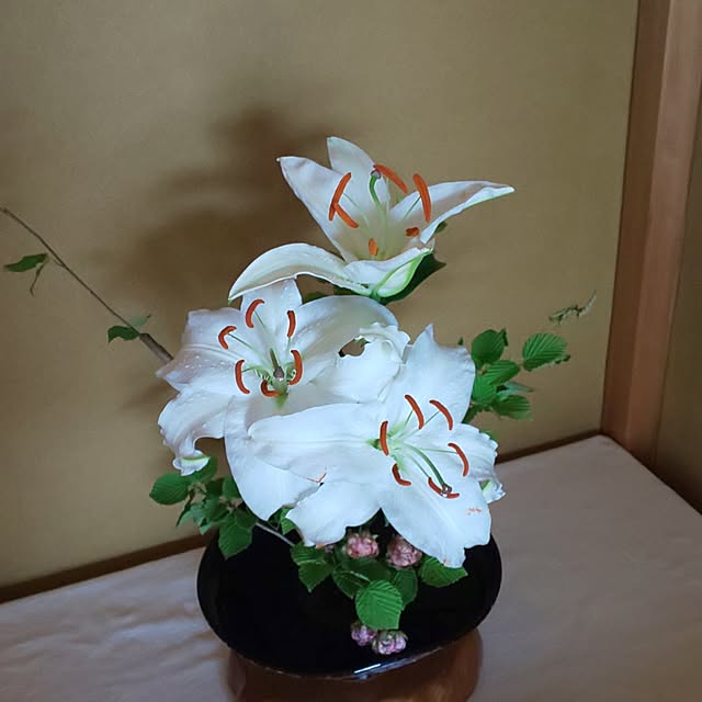 CassiyCocoさんの実例写真