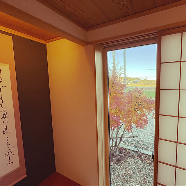 momoさんの実例写真