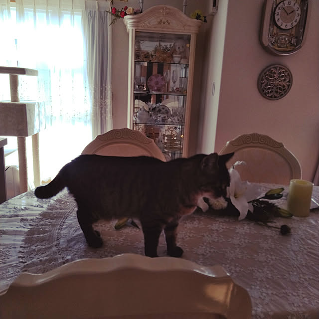 lilyさんの実例写真