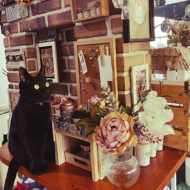 jijiさんの実例写真