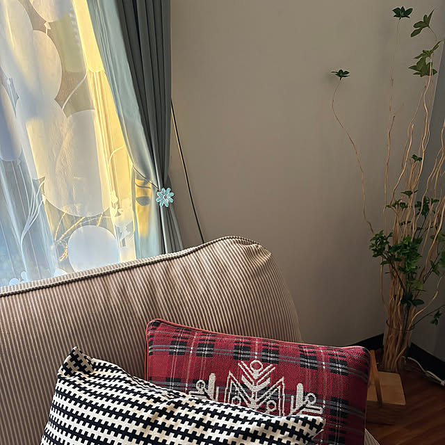 syutmmさんの部屋