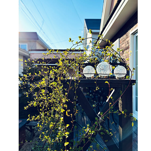 usagiさんの部屋