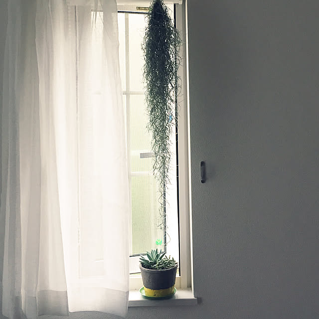 hamasakitakahiro1224さんの実例写真