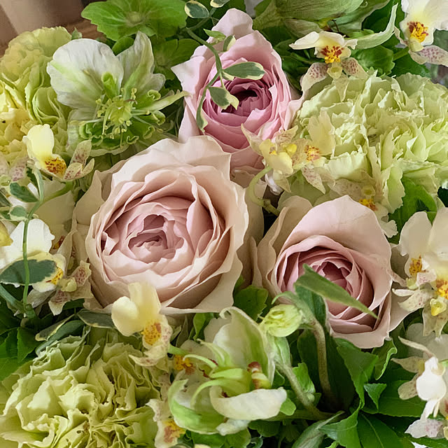 chocomamaさんの部屋