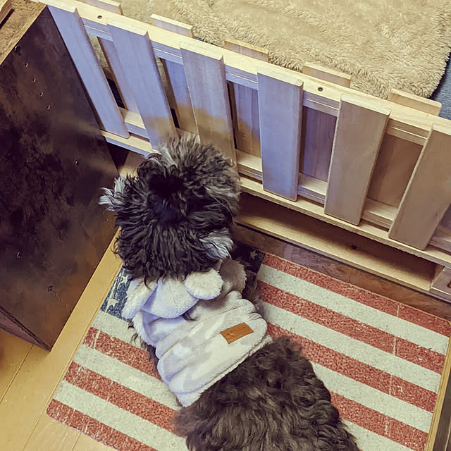 GINさんの実例写真